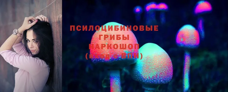 Галлюциногенные грибы Psilocybe  где купить наркоту  ссылка на мегу как войти  Катав-Ивановск 